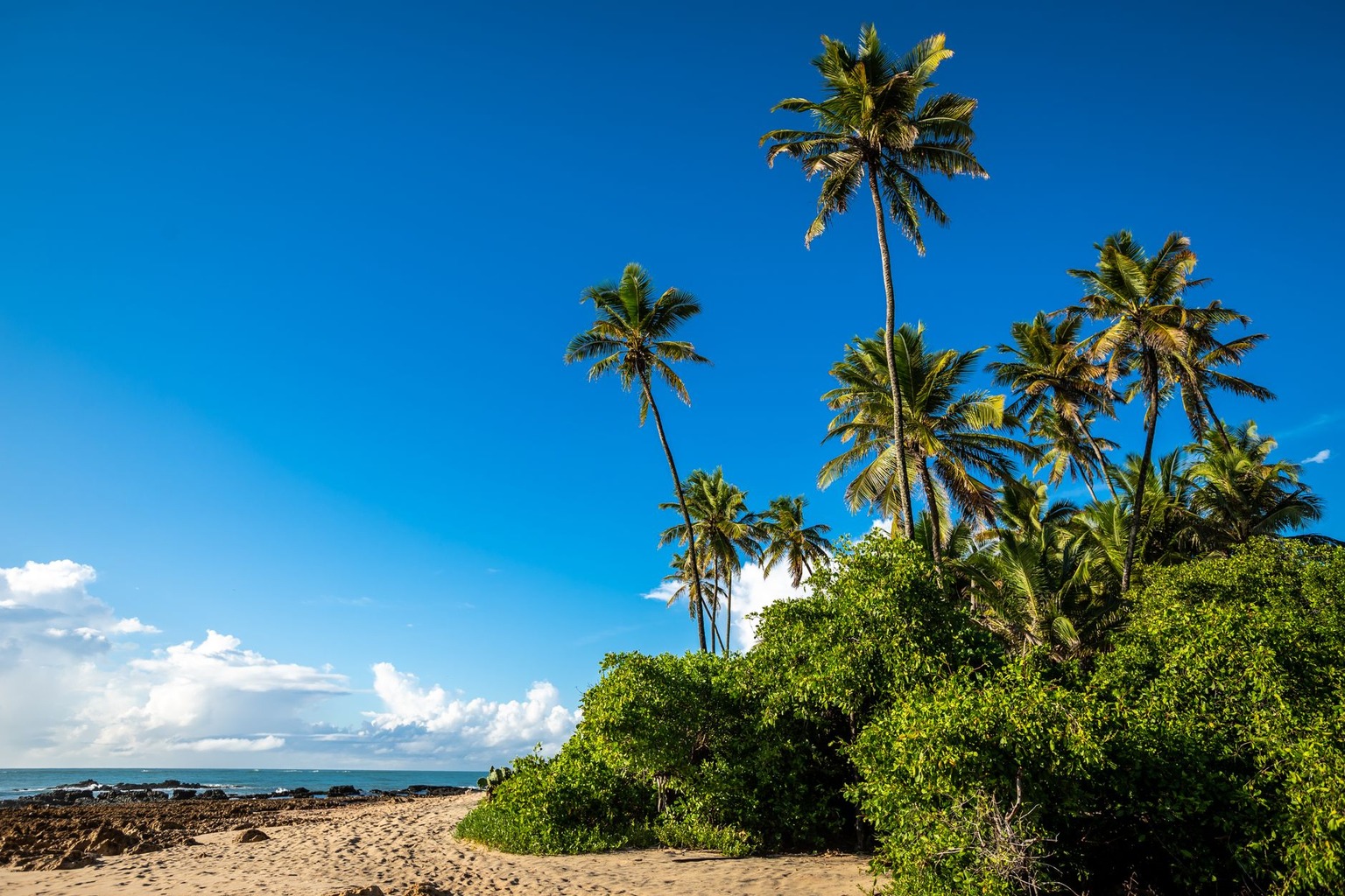 Roteiros de iates no litoral paulista: passeios imperdíveis em 2026 — Paradisíacas enseadas e praias exclusivas de Ubatu Roteiros de iates no litoral paulista: passeios imperdíveis em 2026 — Paradisíacas enseadas e praias exclusivas de Ubatu